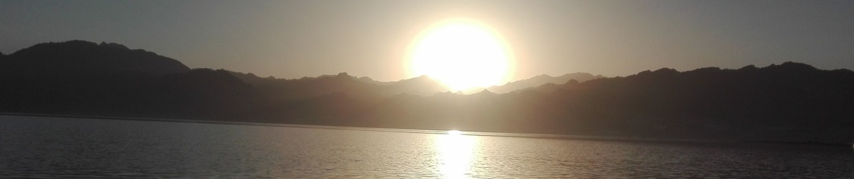 Ahmed Youssef (EEDawy)