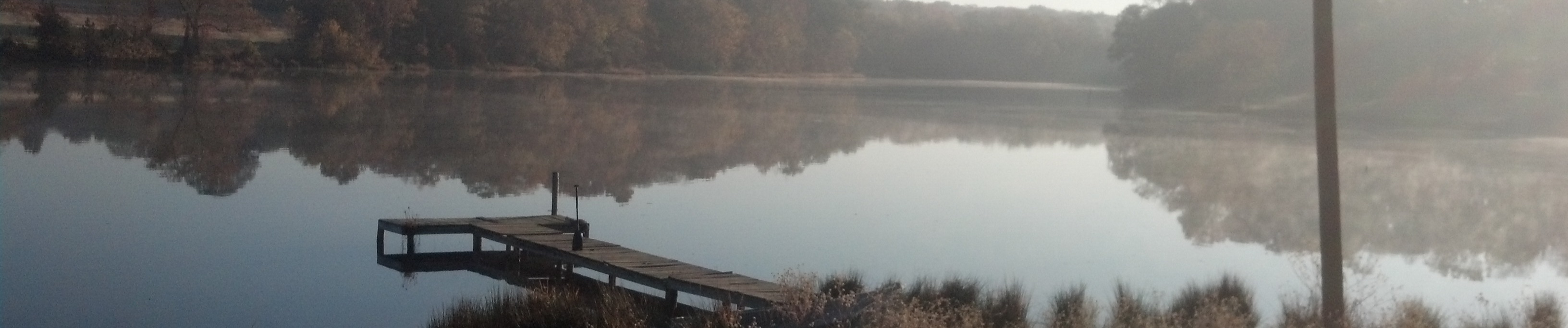 Daddy Would You Like Some Sausage Terrible Remix By ron Essary