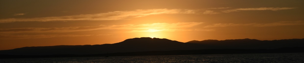 max_orange