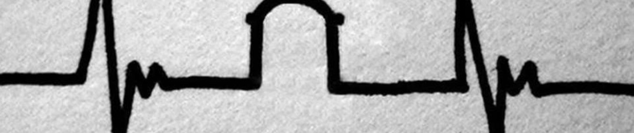 Nikolas Torres Ramos