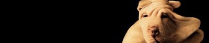 SoundCloud banner for @man