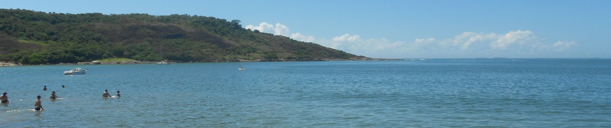 VLS