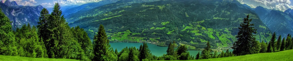 Felte