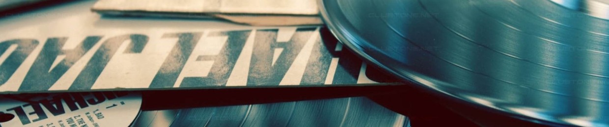 ViNyLisM