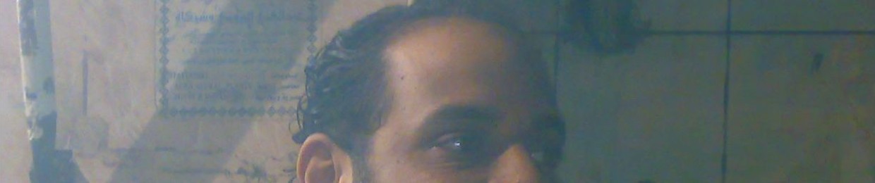 Amr L Zainy