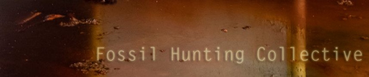 Fossil Hunting Collective