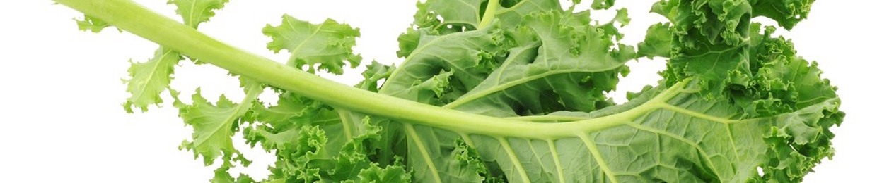 LikeTheCabbage
