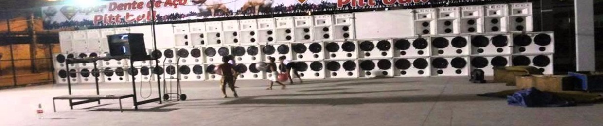 Lucas Henrique Furtado