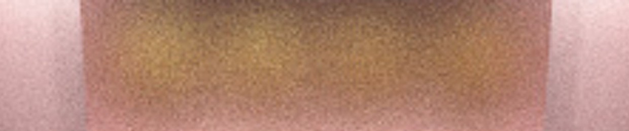 stevec64