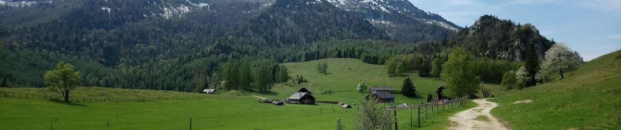 chris_walter_wolfi_waves