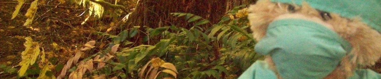 Spilt Milk aka Dick River