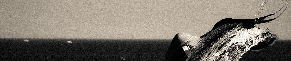 Temporal Pause | وقوف زمني