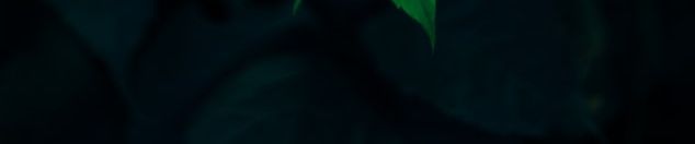 SoundCloud banner for @pointer
