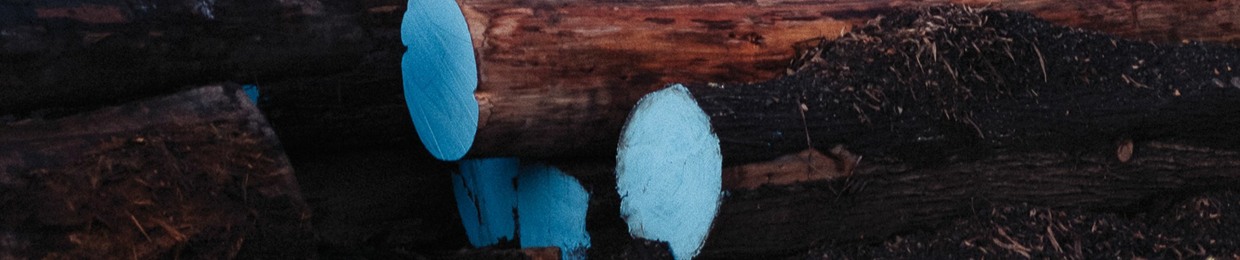 ANALOGUE ATTIC RECORDINGS