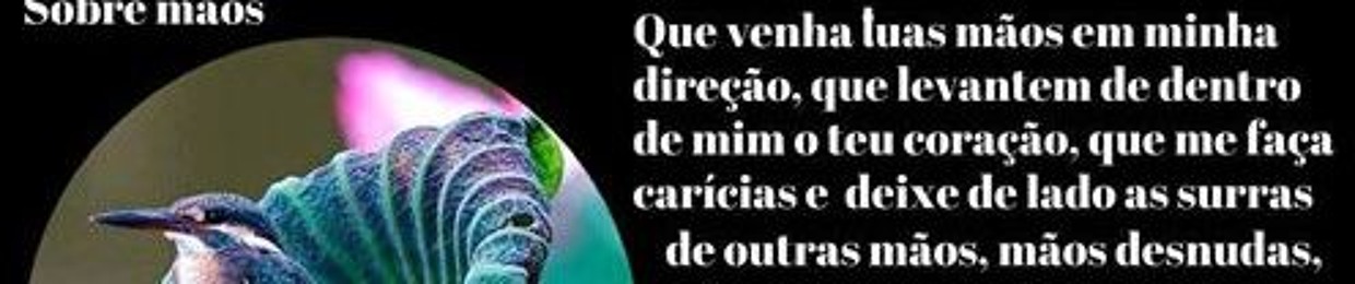 CARLOS ALBERTO SILVA