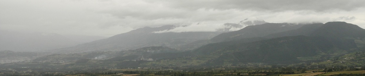 Sami Anguaya
