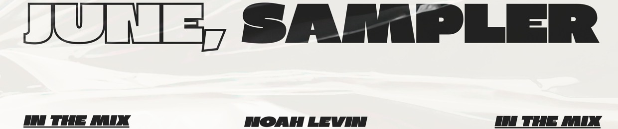 Noah Levin