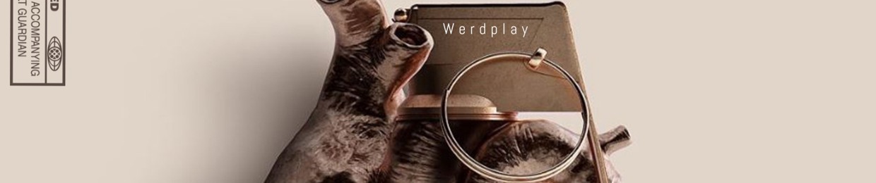 Werdplay215