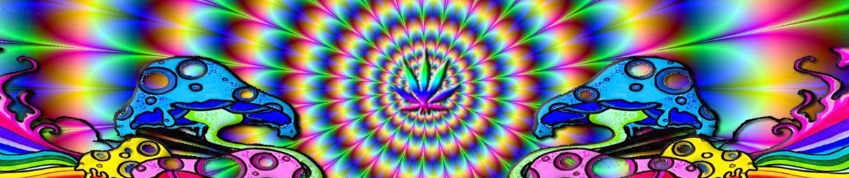PsYcHeDeLiC_DrEaMeR