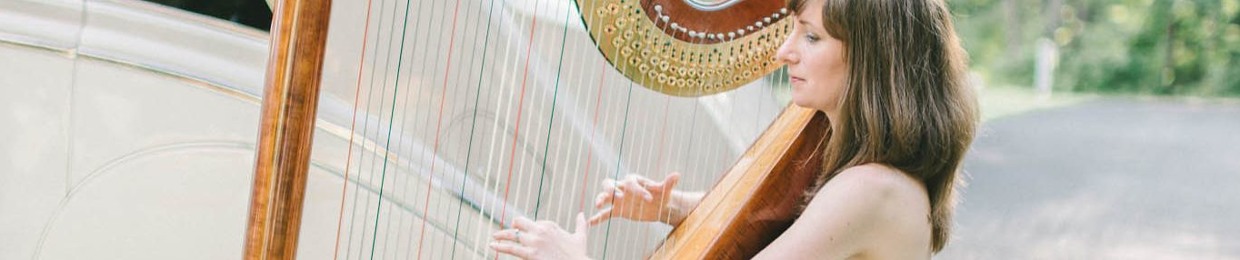 potomacriverharp
