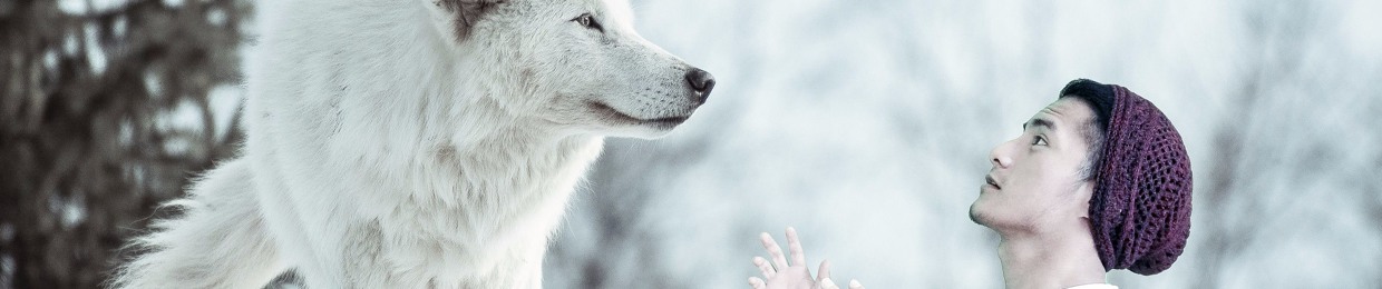 Jay Wolf