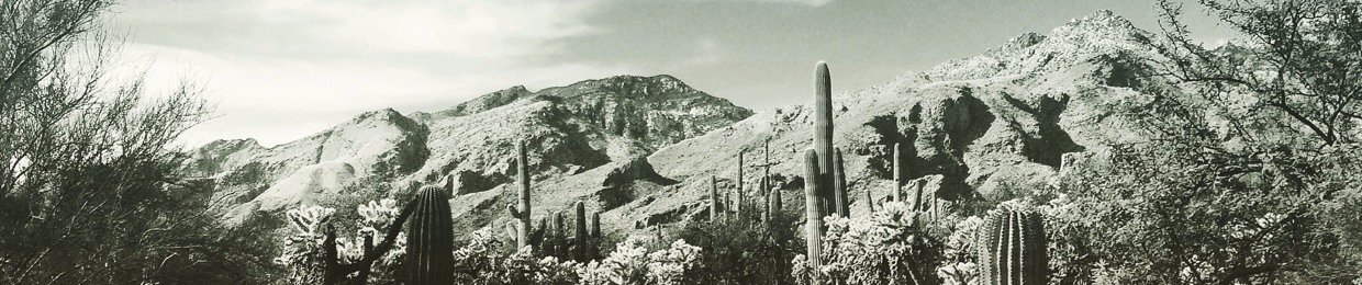LimónySal