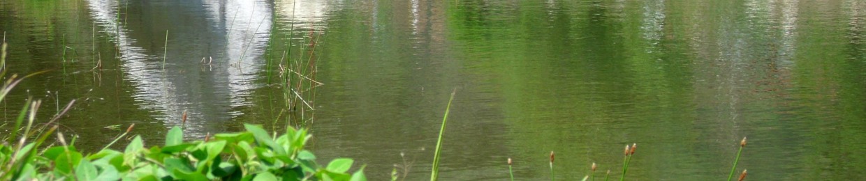 Enyo