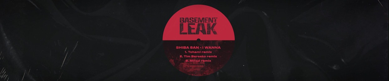 Basement Leak