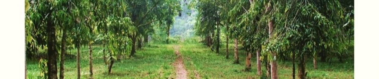 Diladarhani