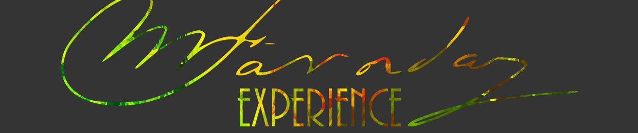 Faraday Experience