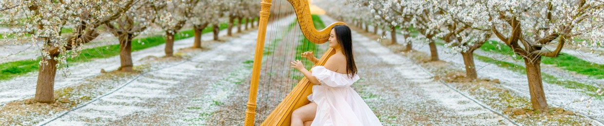 seikaharp