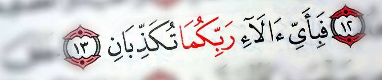 آلاء هشام