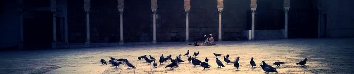 Abo Hazem
