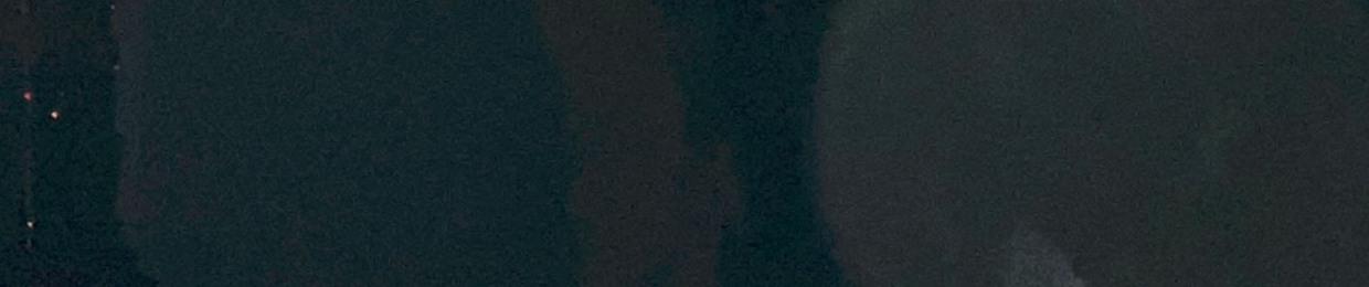 Lxv