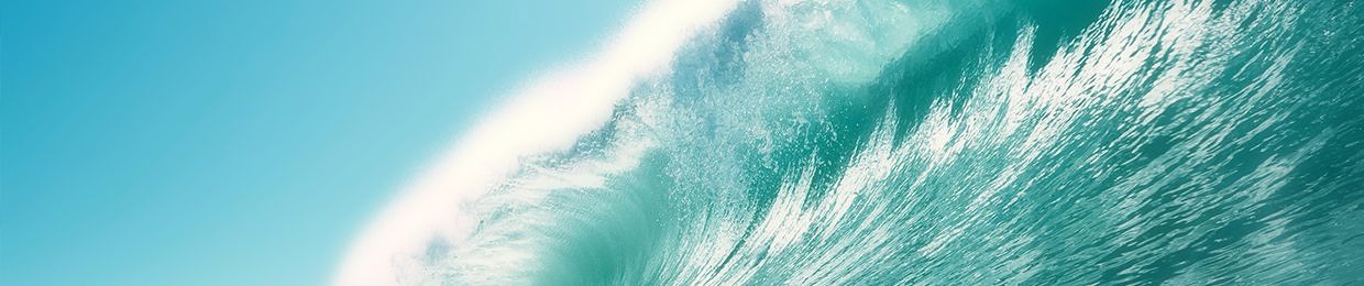 Electronic Ocean Network
