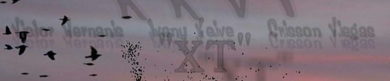 Xavier XT