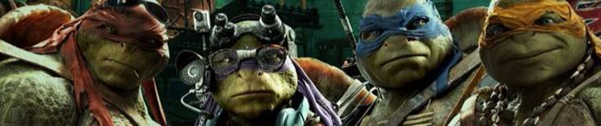 Turtle gang