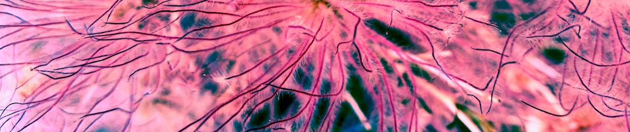 Nebula's Tonic