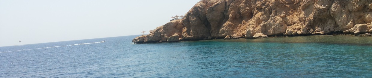 Asmaa Mamdouh