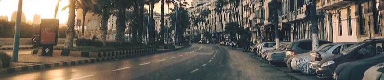 Hossam Abd Elmeged
