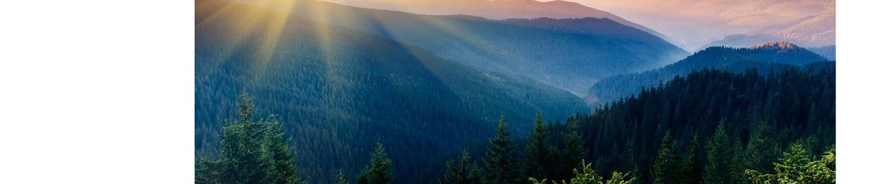 Living Word eMinistry