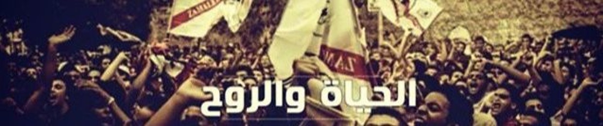 Hesham Moustafa