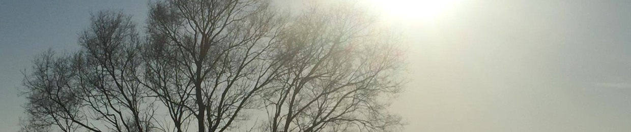 Circular Silence