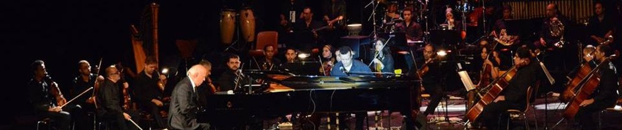 Aya  Elgmmal