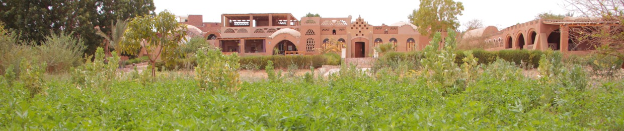 Shady Kashef