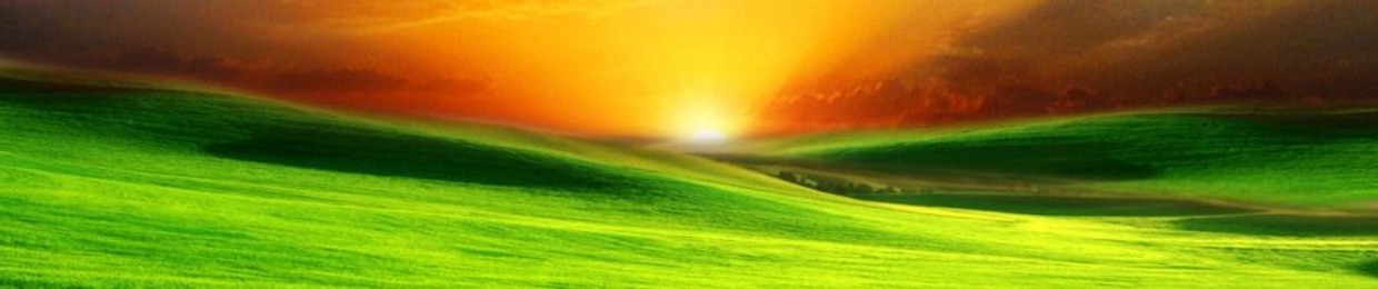 Green~T