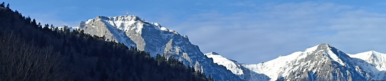 Constantin Adrian Pintoiu