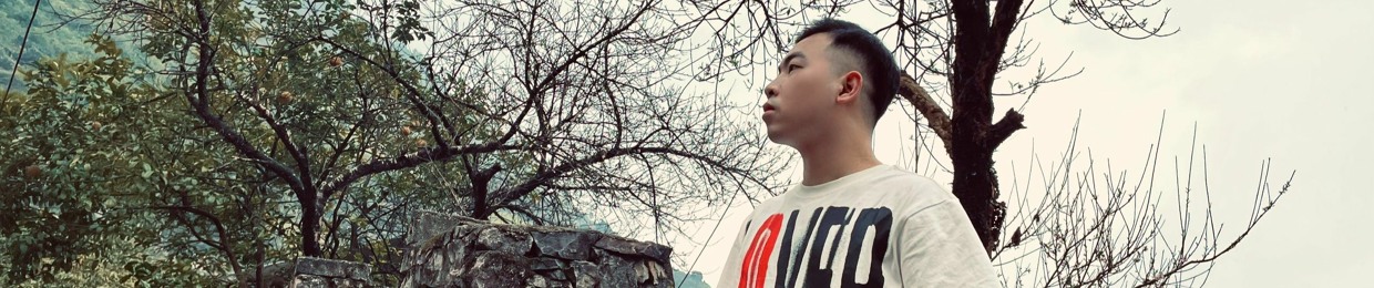 Feng N