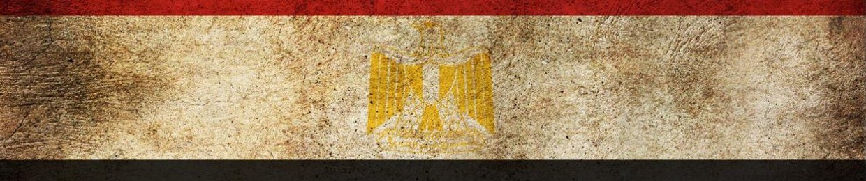 amr bahy