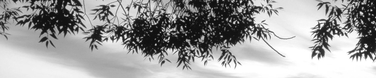 Lectrissimo
